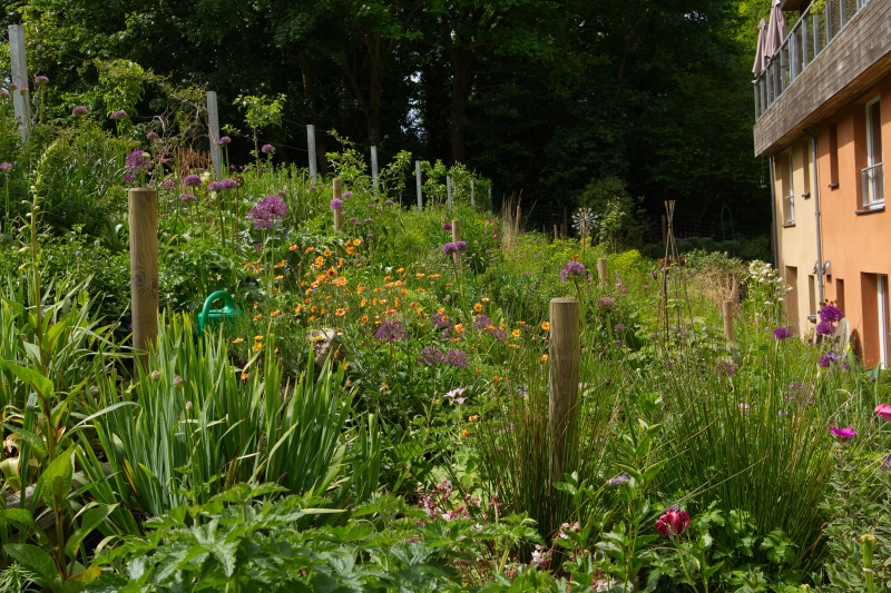 Cannock Mill Cohousing Gardens